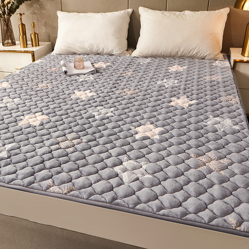 牛奶珊瑚法蘭絨床墊褥子軟墊家用冬季毯薄款宿舍單人學生床鋪墊被
【在售價】49.00 元