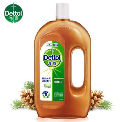 滴露洗衣消毒液家用殺菌室內非84寵物家居衛浴傷口消毒水750ml【券後價】44.90元