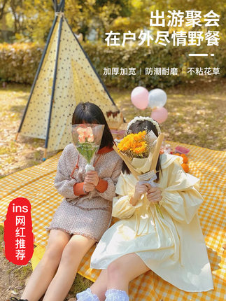 野餐墊防潮墊加厚野餐布戶外春遊郊鋪墊便攜野外草坪防水墊子地墊【券後價】8.50元