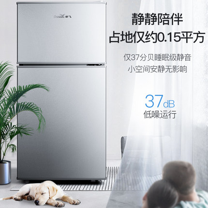 新飛小冰箱家用小型辦公室租房宿舍節能省電冷凍冷藏迷你小電冰箱【券後價】268.00元